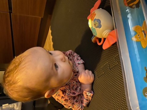 GRZECHOTKA GRYZAK POZYTYWKA DŹWIĘKI ŚWIATŁA 66857R GRZECHOTKA GRYZAK POZYTYWKA DŹWIĘKI ŚWIATŁA 66857R
